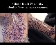 Clear Transfer Film